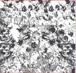 The Chrysanthemum Pledge